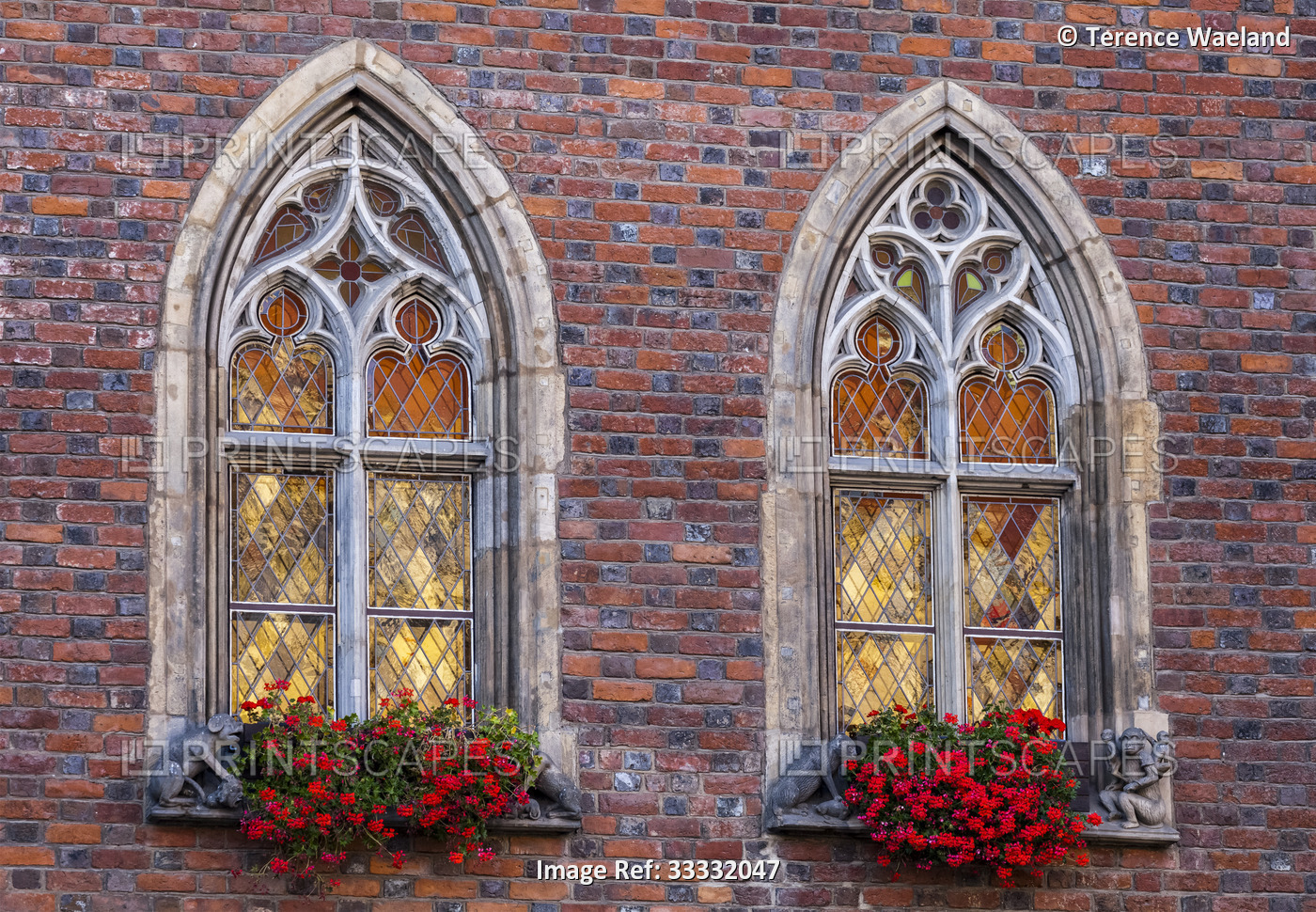 Mullioned windows with flower boxes; Town Hall, Wroclaw, Poland