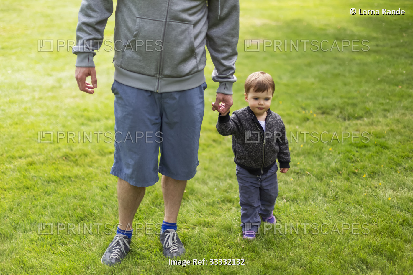 A father walks with his young daughter on grass, holding hands; North ...