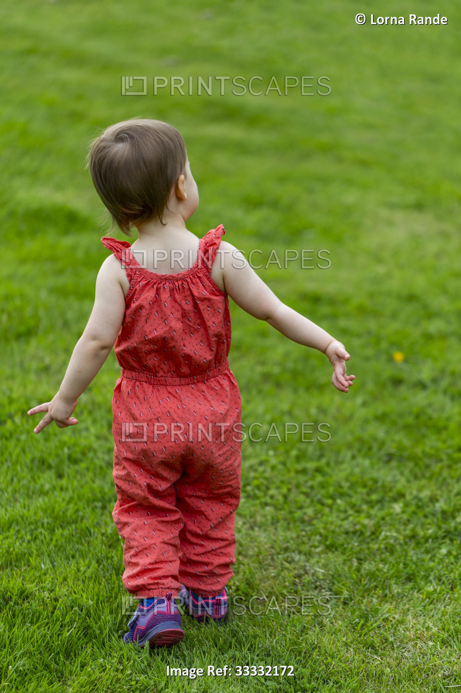A toddler girl walks on a grass field making cute hand gestures as she ...