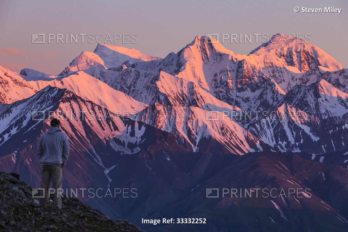 A hiker takes in the alpenglow on the tall peaks of the Eastern Alaska Range ...