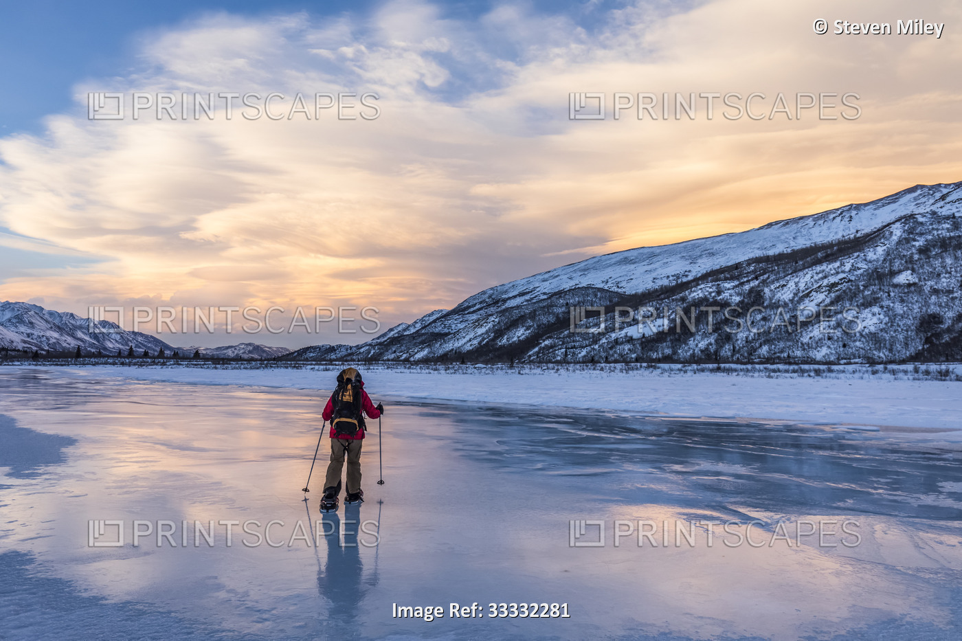 Woman snowshoer crossing the overflow ice on Miller Creek in the Alaska Range ...