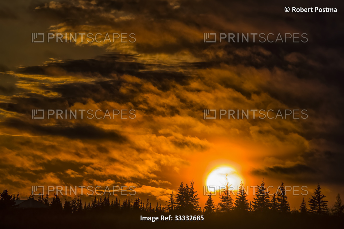Dramatic sunset over the trees along the shore of Hudson Bay; Churchill, ...