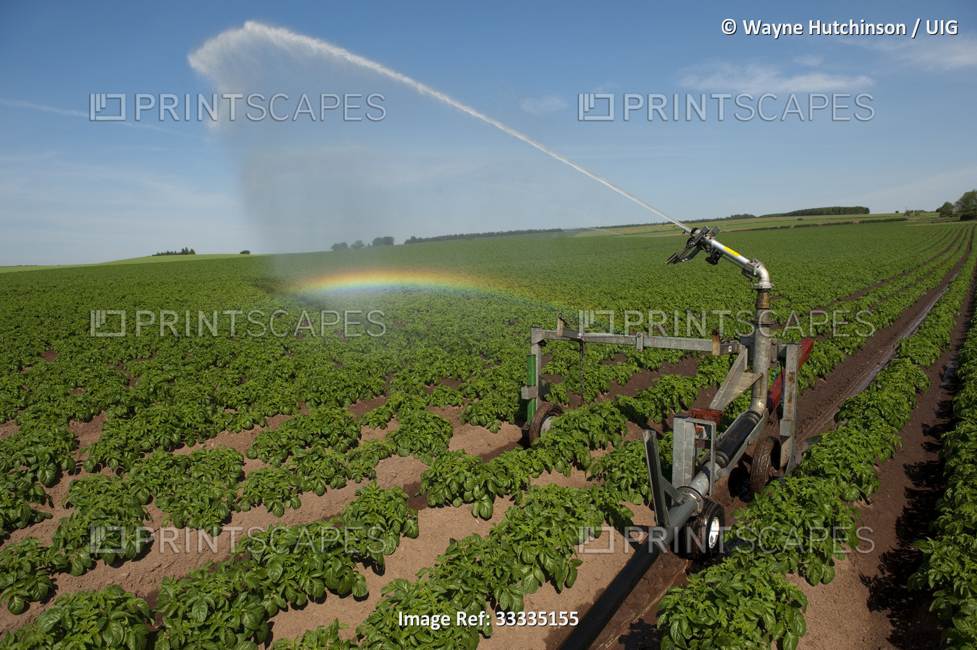 Watering potato crop using irrigation system. Kelso - Scottish Borders