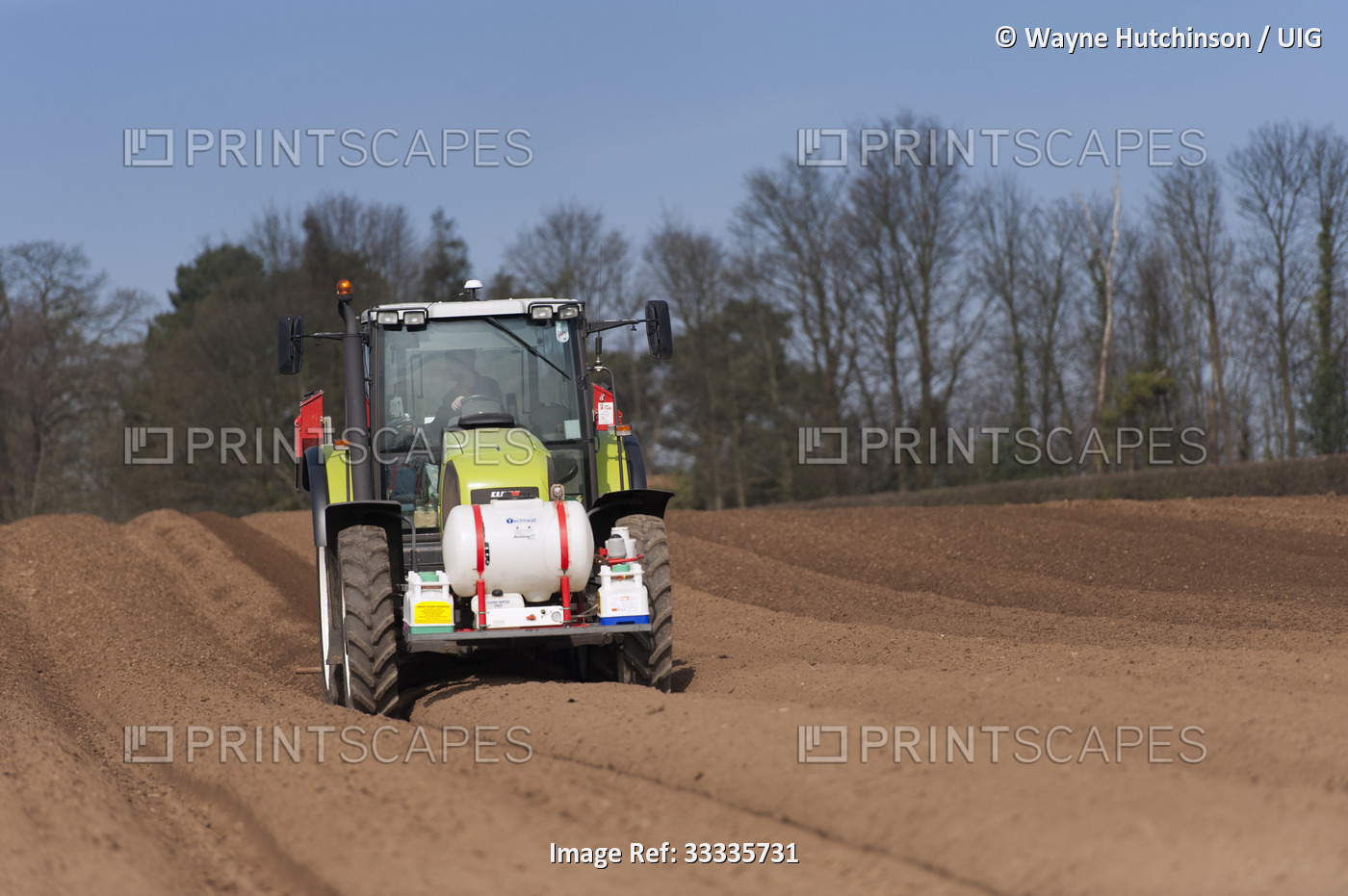Planting seed potato in freshly prepared seed bed using a Grimme seed drill ...