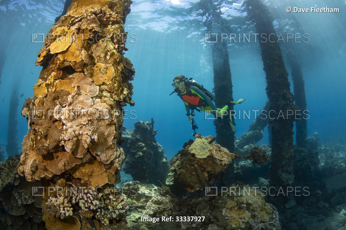 Young diver swims through some of the concrete pilings and underwater ruins of ...