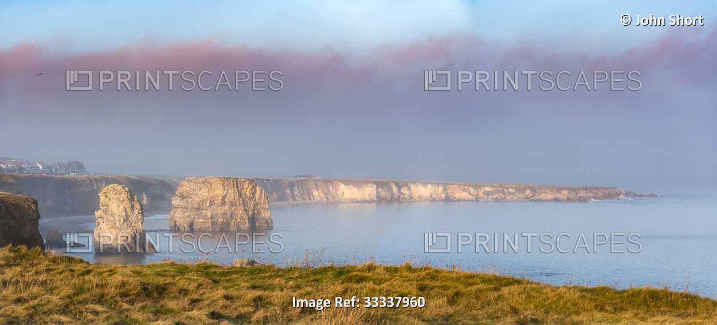 Limestone stacks and sea cliffs along the coastline of the North Sea at Marsden ...