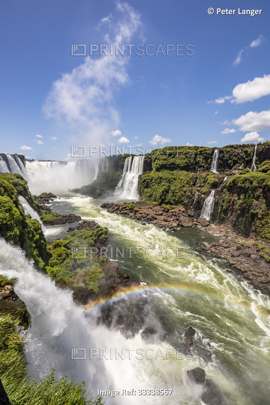 Lush foliage surrounding the waterfalls of Iguazu Falls; Foz do Iguacu, Parana, ...