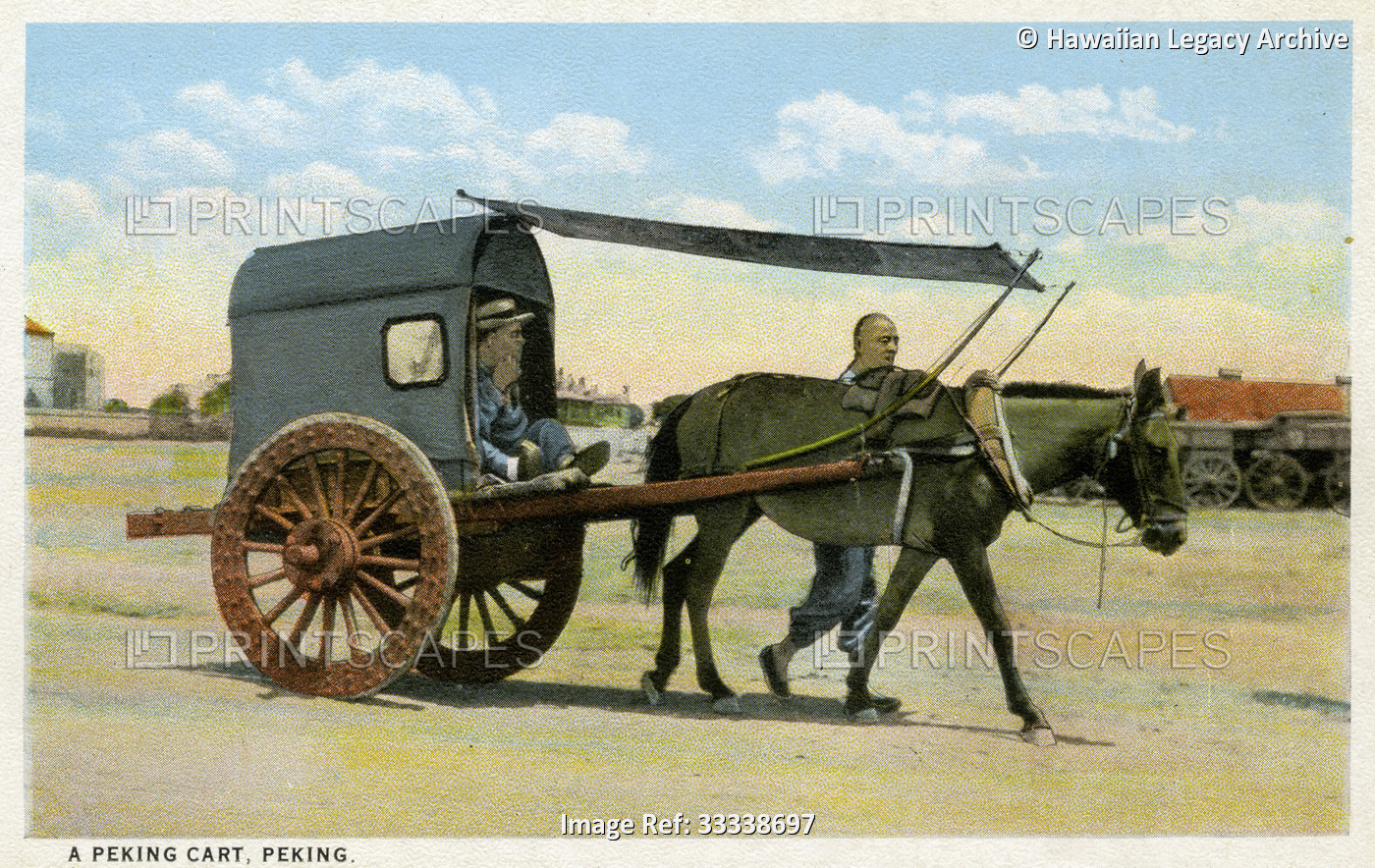 Archival color postcard of donkey cart with passenger, China, c 1910. (Photo by ...