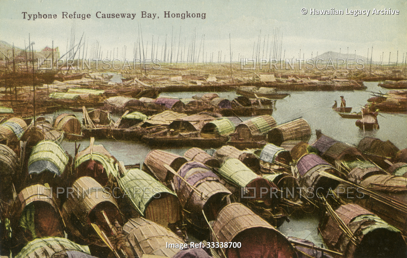 Archival color postcard of junks in harbor for safety against coming typhoon, ...