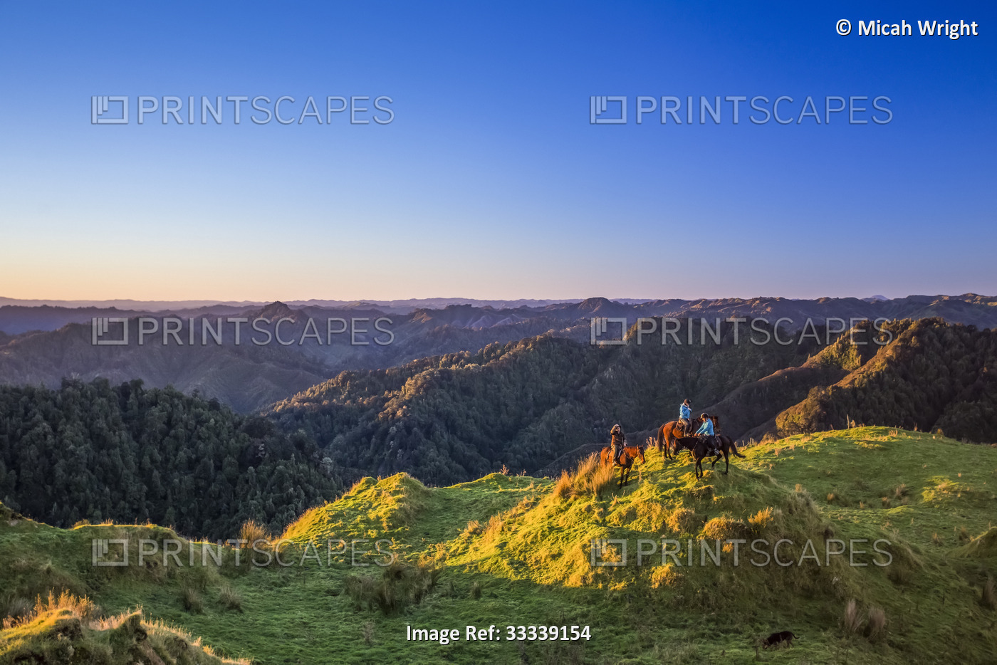The Blue Duck lodge located in the Whanganui National Park is a working cattle ...