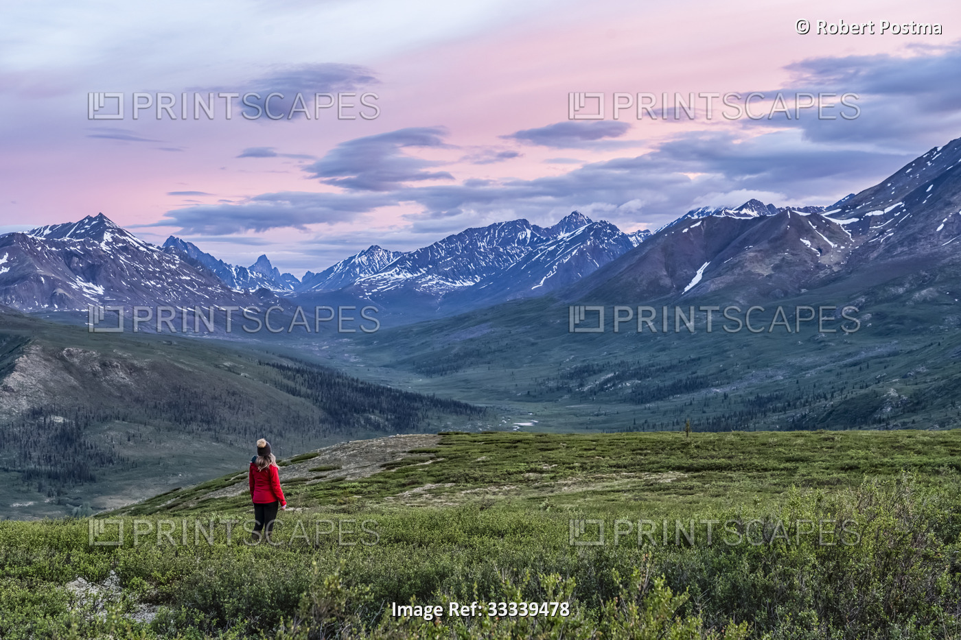 A woman hiking on the beautiful landscape of the Dempster Highway during the ...