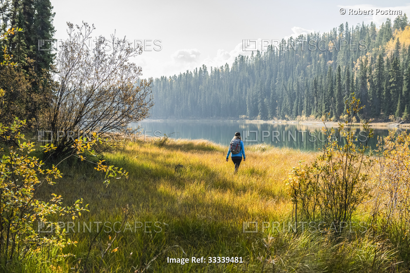 Woman walking in the grass with golden sunlight bathing her; Yukon, Canda