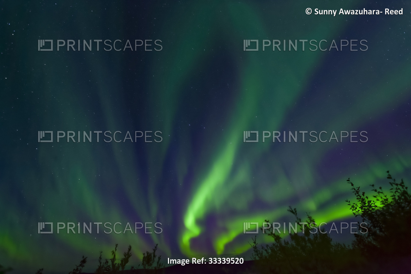 Bright green aurora dancing above Taylor Highway in Autumn, Interior Alaska; ...