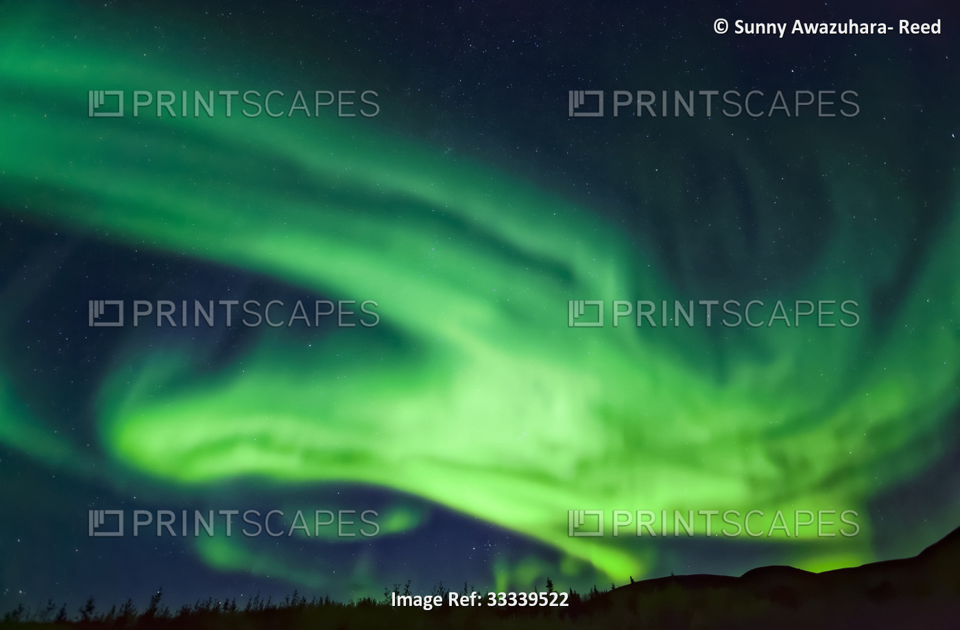 Bright green, intense bird like aurora flying over Mount Fairplay at Taylor ...