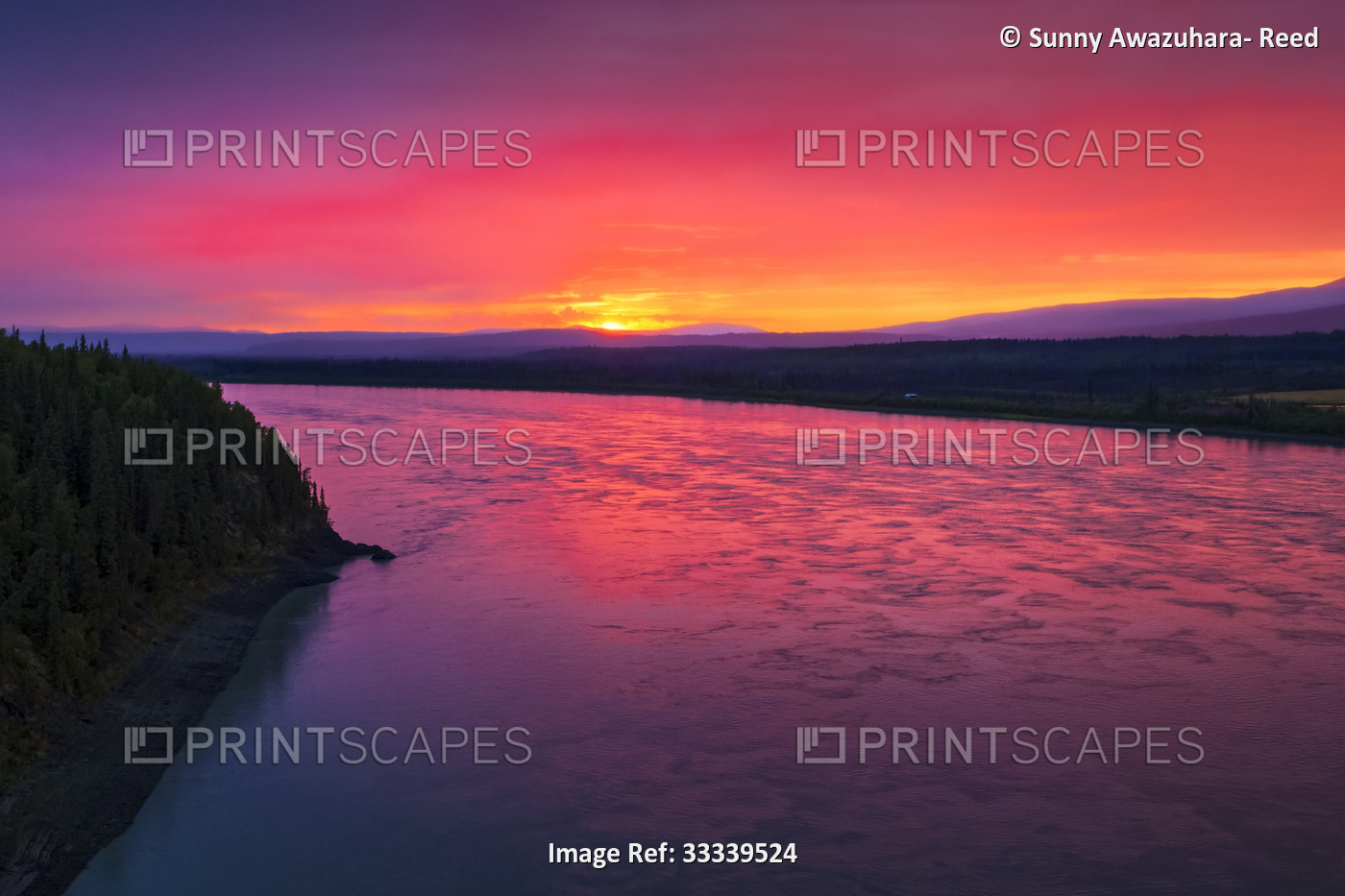 Spectacular summer sunset painting the Yukon River in bright red; Arctic, ...