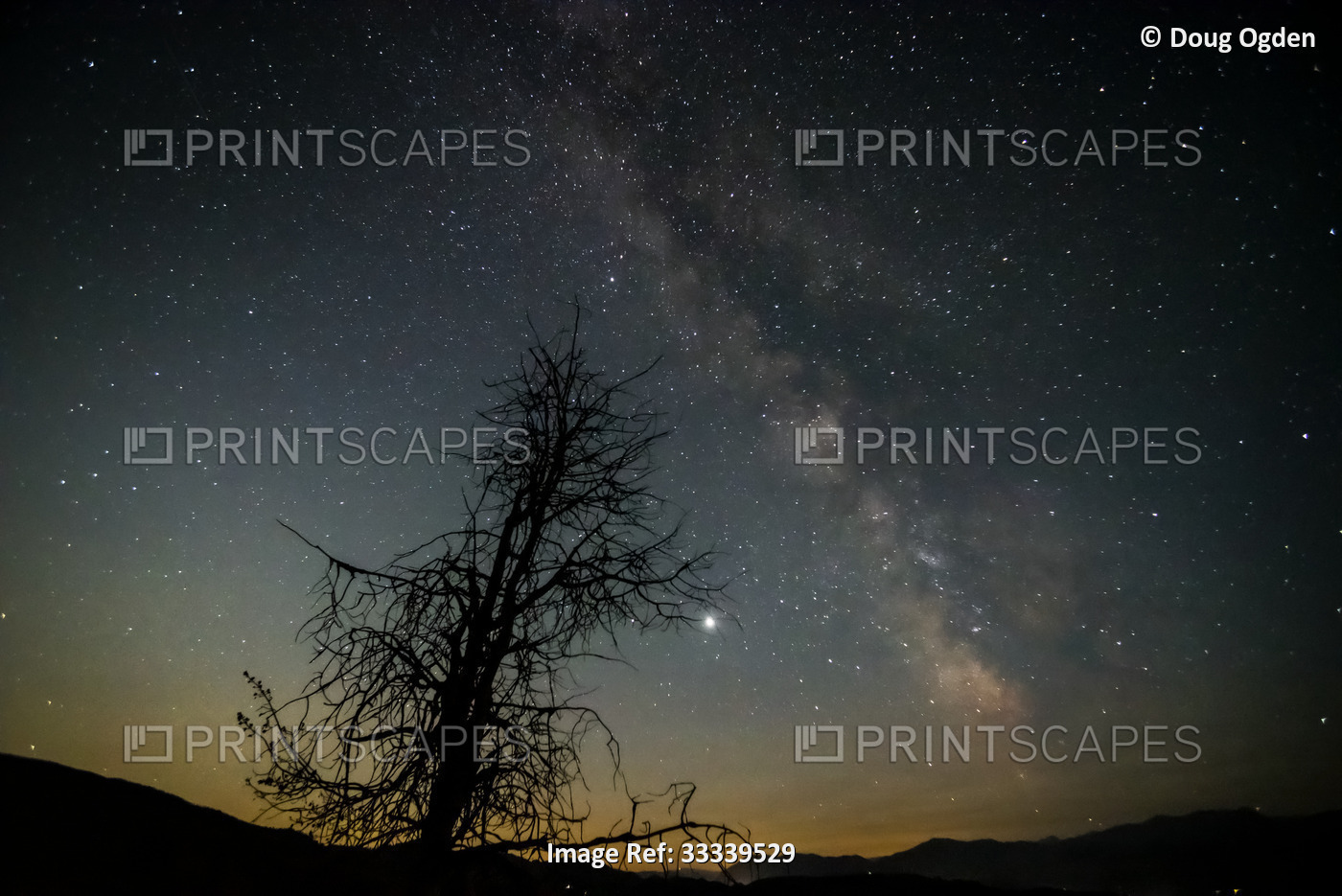 Milky Way viewed above a silhouetted tree and mountaintops; Winthrip, ...