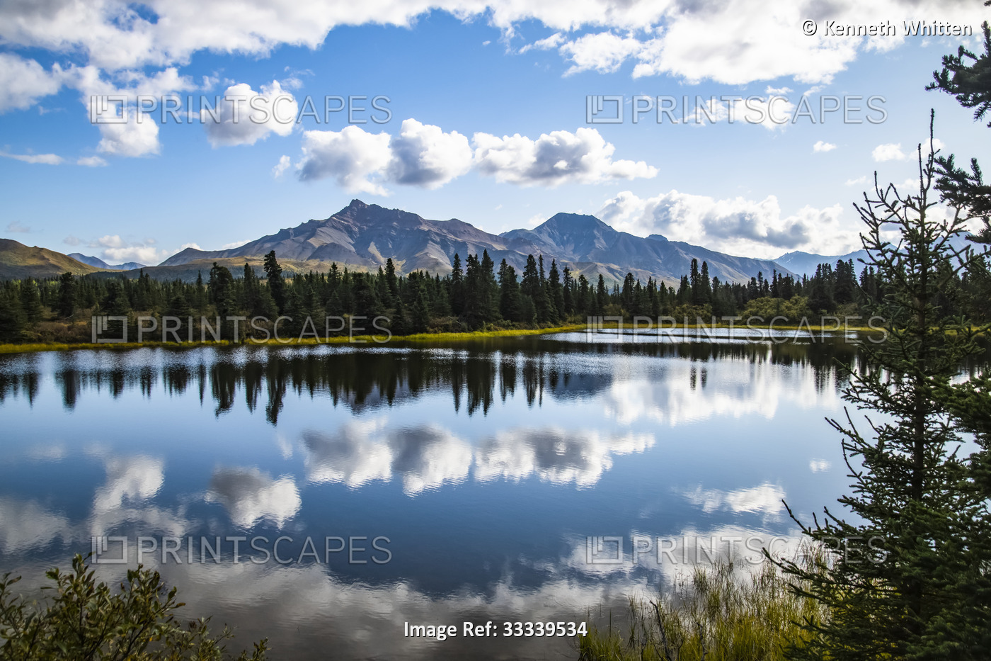 View towards Double Mountain from a lake in the Igloo Forest area of Denali ...