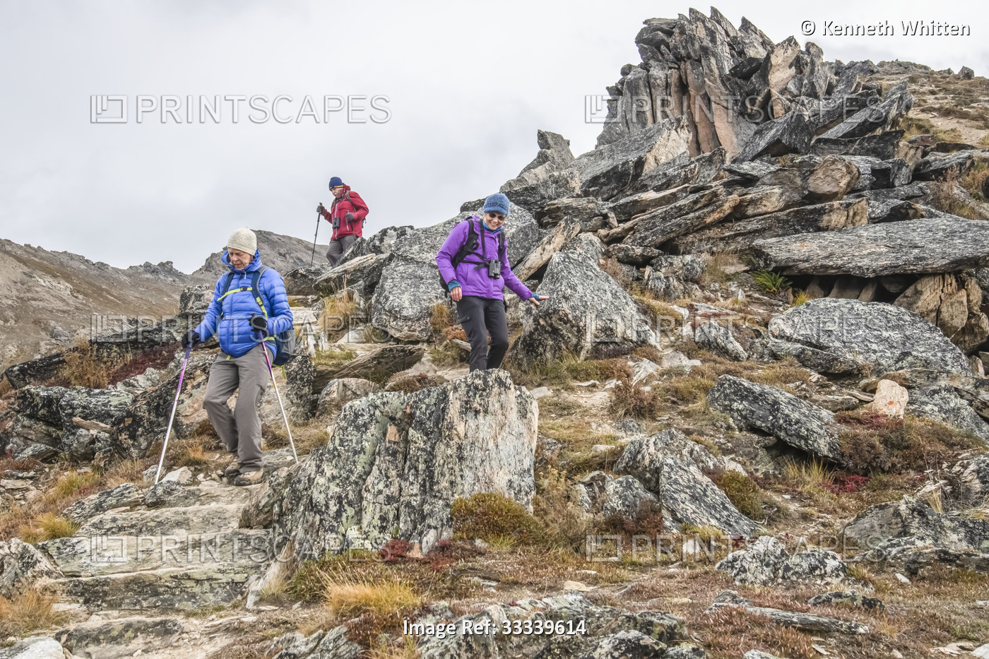Three hikers descending the Savage Alpine trail in early fall in Denali ...