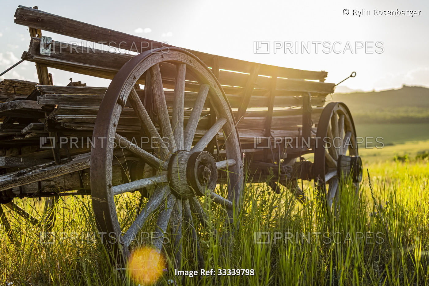 Old wooden wagon sitting in a field backlit by the sunlight; Waterton Lakes ...