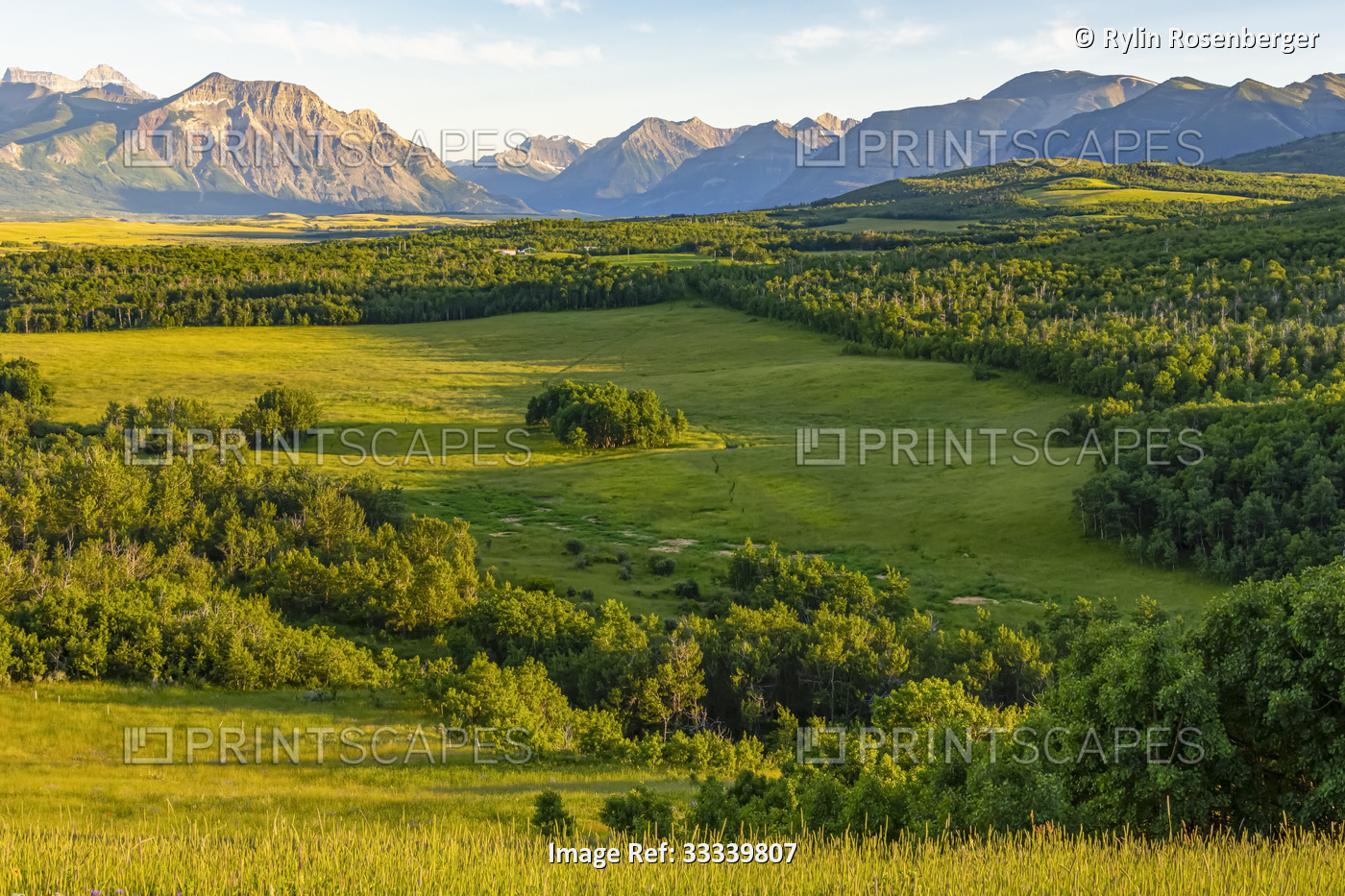 Open grassy field surrounded by deciduous tree forest with mountain range in ...