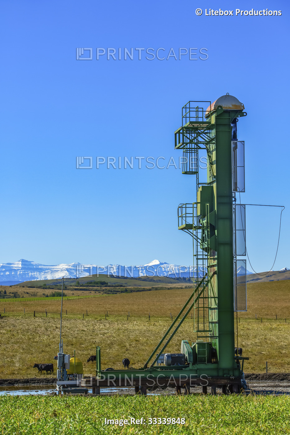 Land oil drilling rig next to a field with cattle grazing and the Rocky ...