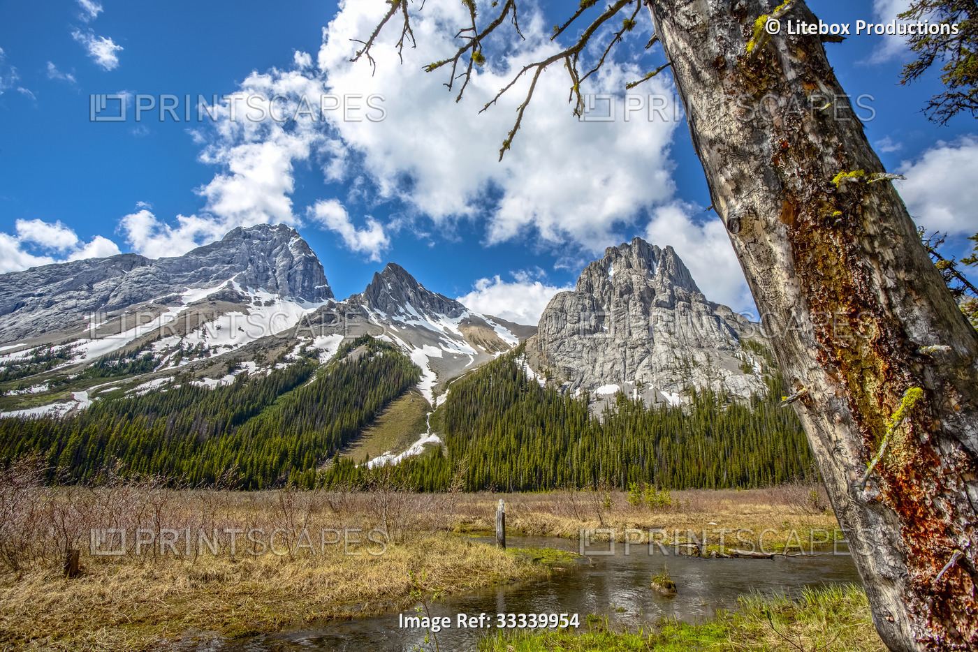Wilderness in the Canadian Rockies with rugged peaks, forests and a tranquil ...