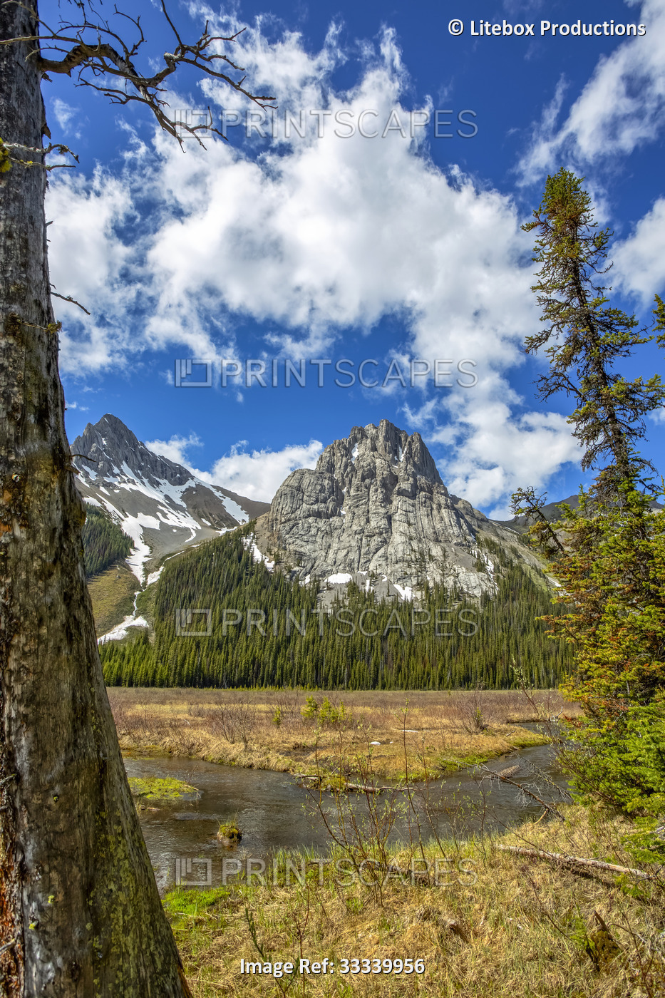 Scenic view of mountains and wetlands in Western Canada on a bright, sunny day; ...