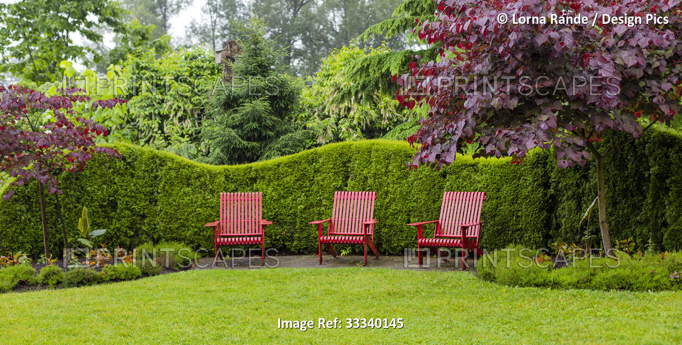 Three red chairs in a row surrounded by lush foliage of plants, trees and ...