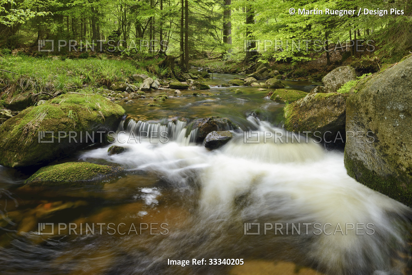 Ilse River flowing along the Heinrich Heine Trail in Harz National Park; ...