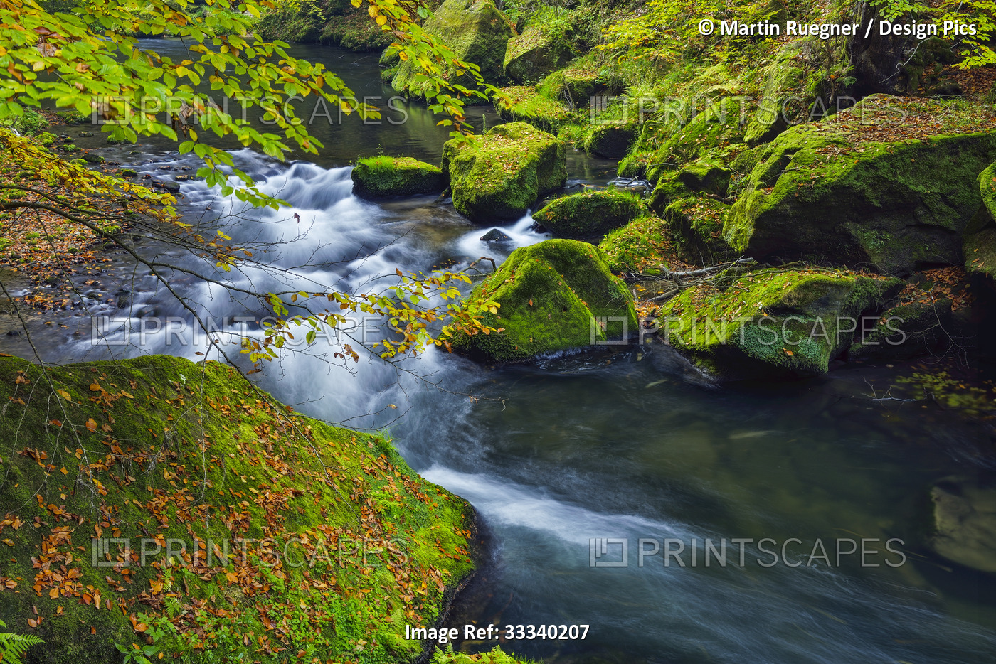 Kamenice River cascading through moss-covered rocks and foliage; Usti nad Labem ...