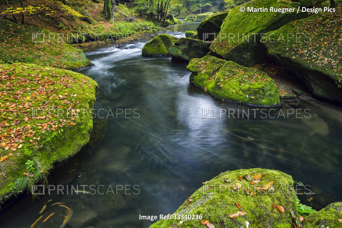 Tranquil River Kamnitz (Kamenice) in the Edmundsklamm with moss-covered ...