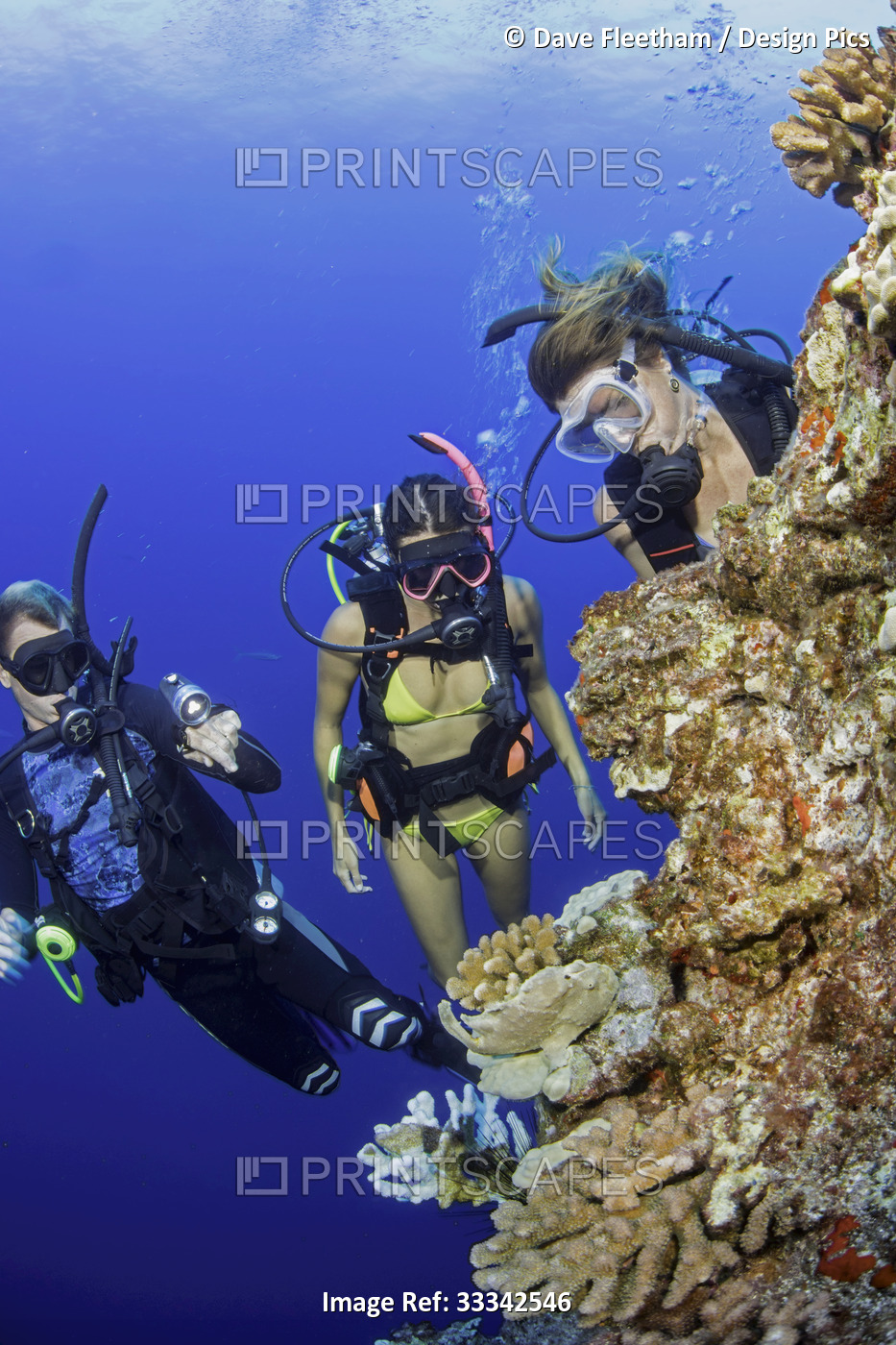 Three friends scuba diving and exploring the marine life of the coral reef; ...