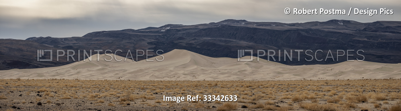 Panoramic view of sand dunes under a cloudy sky in Death Valley National Park; ...