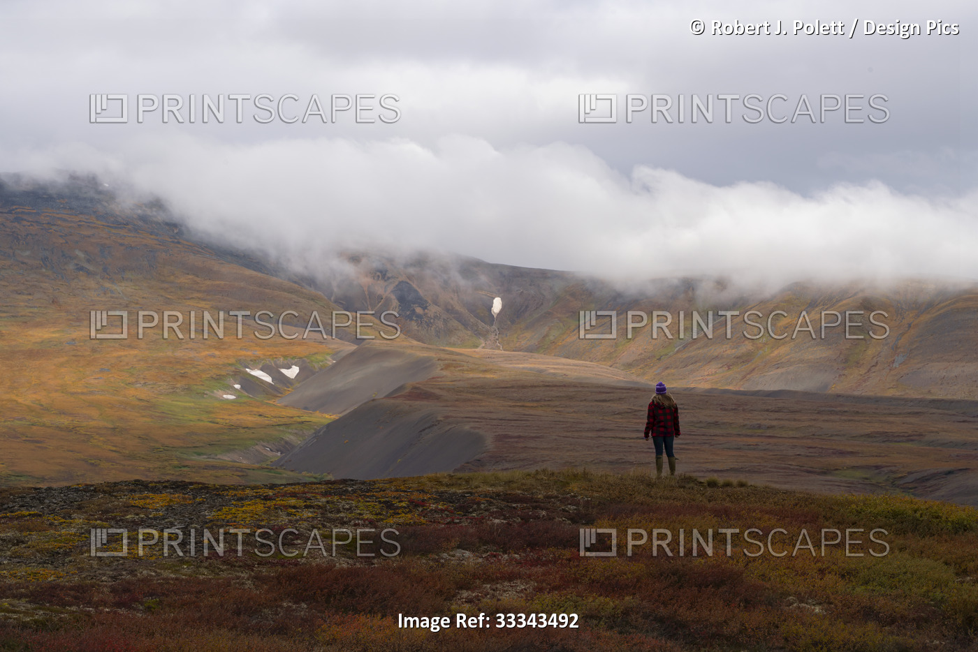 View taken from behind of woman traveler standing on the fall colored tundra ...