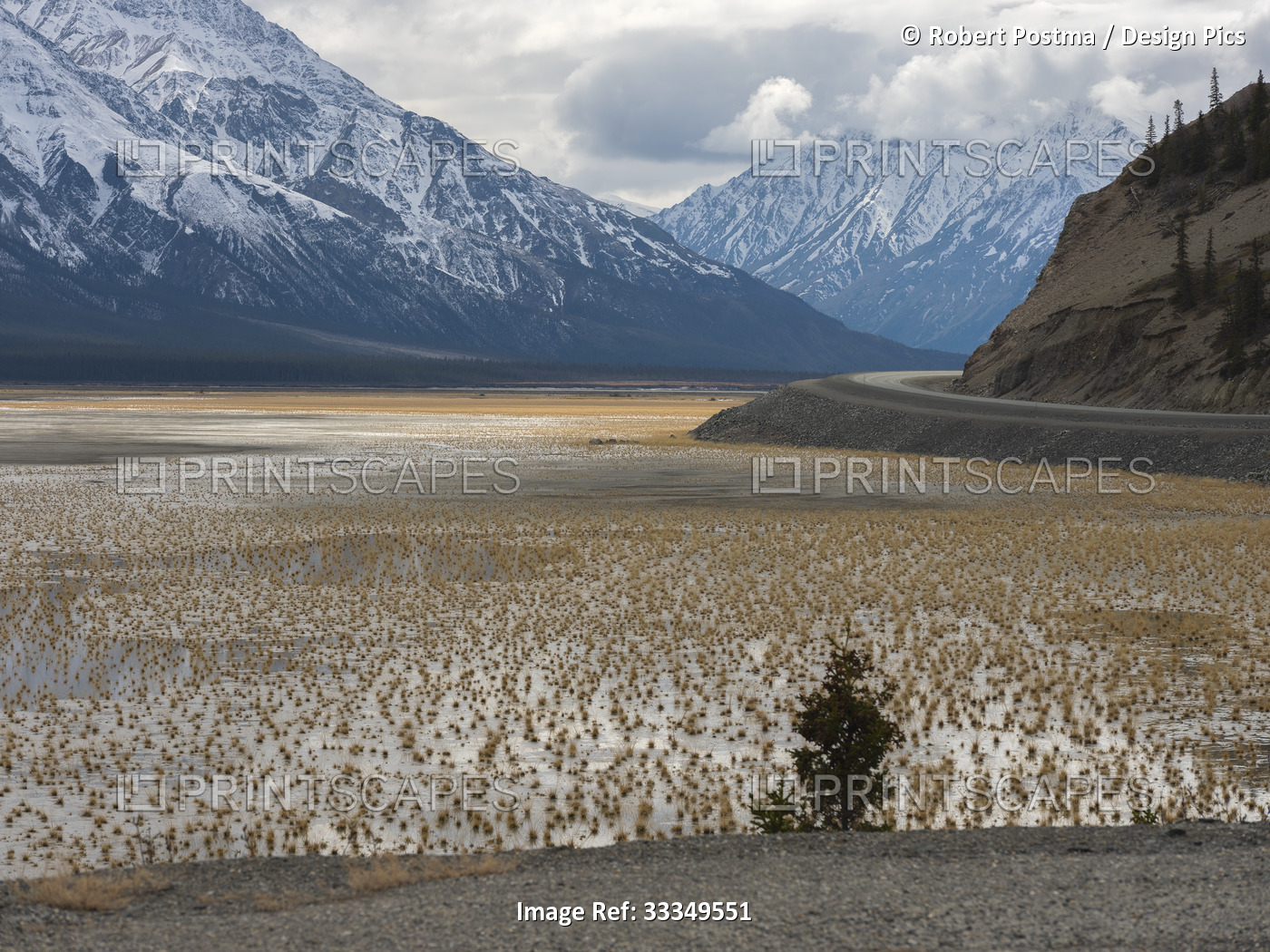 Sparse vegetation appearing from the dried up portion of Kluane Lake along the ...