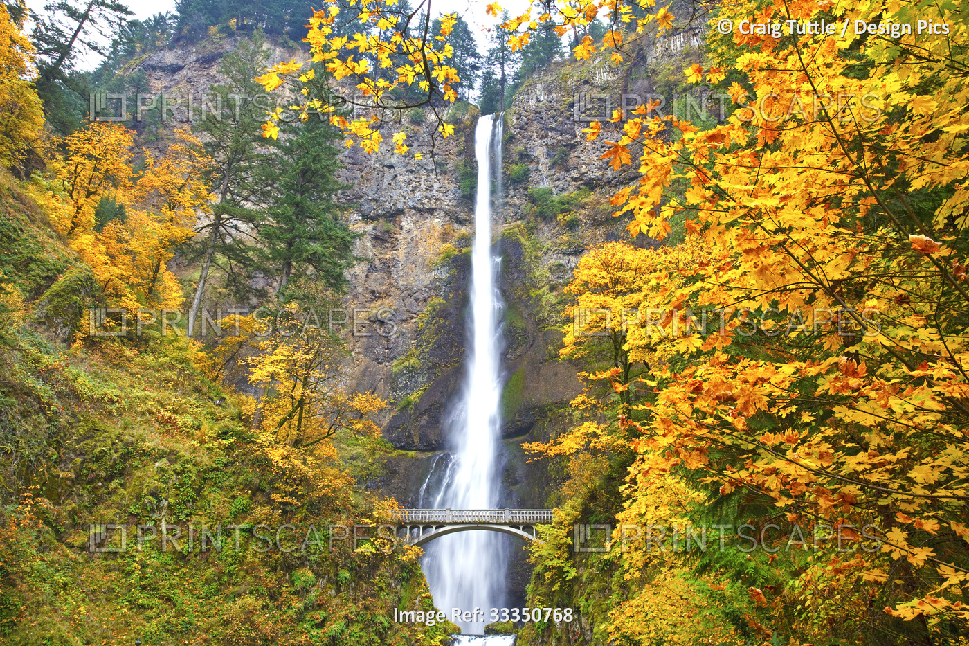 Multnomah Falls in autumn, Columbia River Gorge; Oregon, United States of ...
