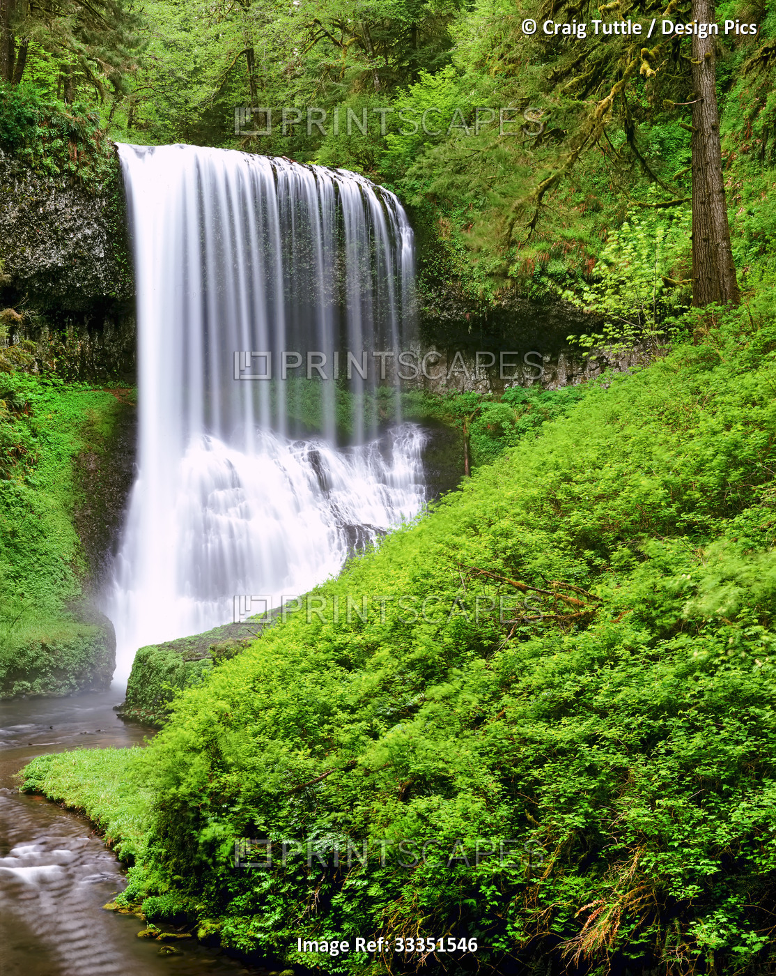 North Middle Falls in Silver Falls State Park with lush green foliage; Oregon, ...