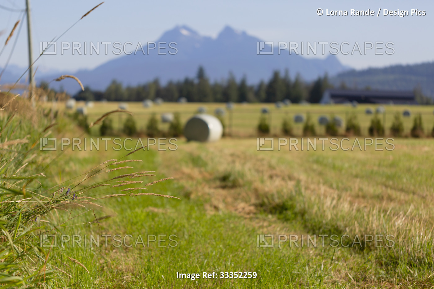 Countryside scenic of farmland and silhouette of mountain peaks in the ...