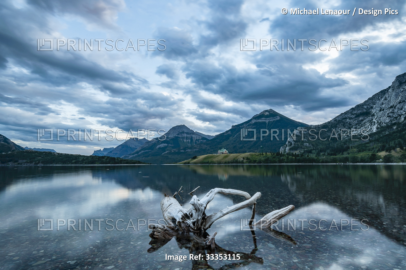 Driftwood in the clear water in a shallow section of a lake with mountains in ...