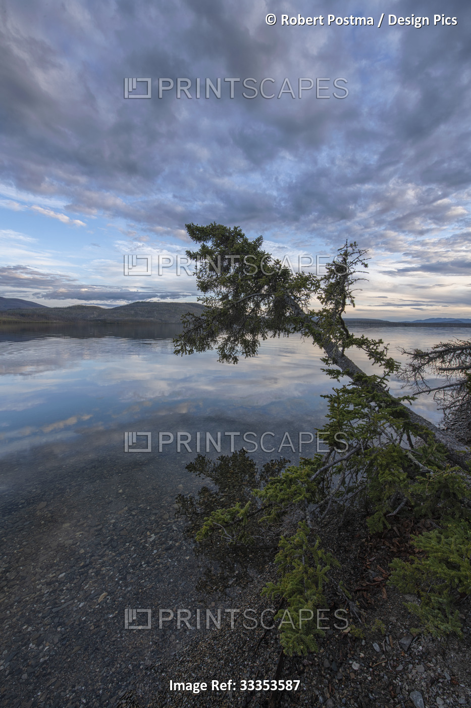 Beautiful scene at Little Salmon Lake, Yukon. Late day clouds are reflected in ...