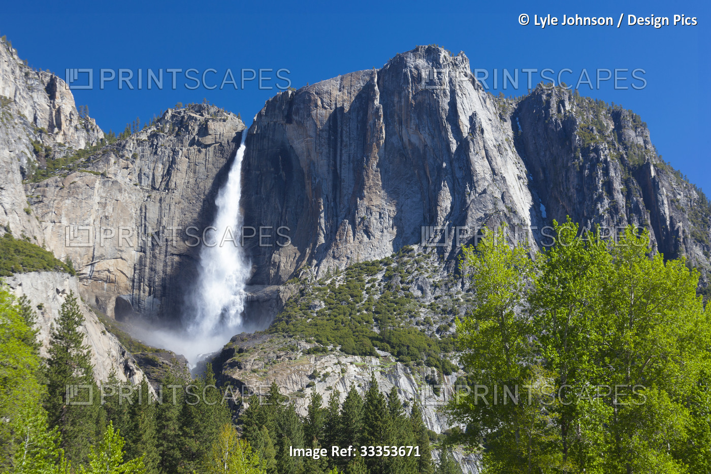 Yosemite Falls in Yosemite National Park; California, United States of America
