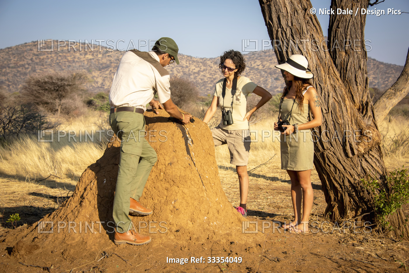 Safari guide explaining termite mound bloodstain to women travelers on the ...