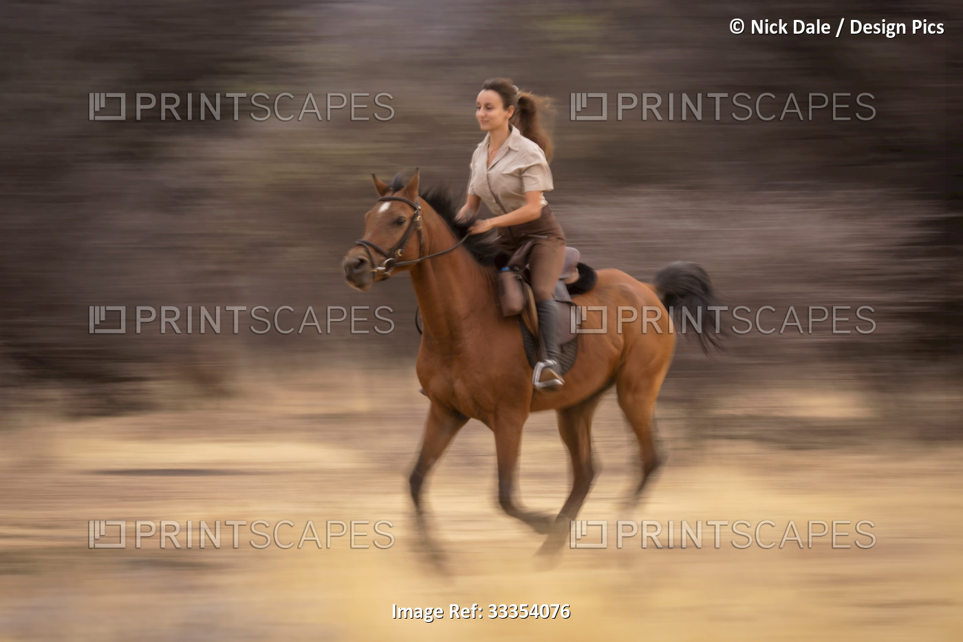 Woman riding horse (Equus ferus caballus) trotting past trees on the savanna at ...