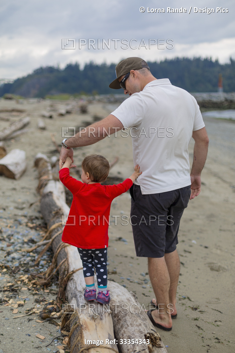 A father holds the hand of his young daughter as she walks across a log on ...