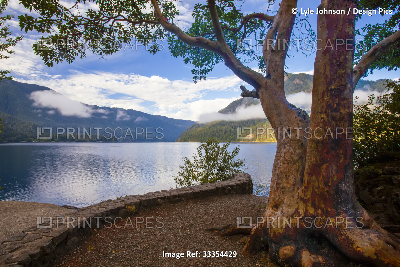 Tranquil lake in Mount Baker National Recreation Area; Washington, United ...