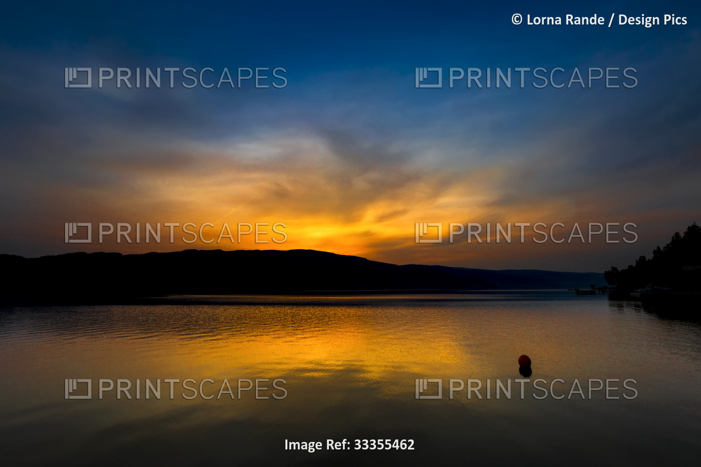 Golden sunset light reflected on the tranquil Okanagan Lake and silhouetted ...
