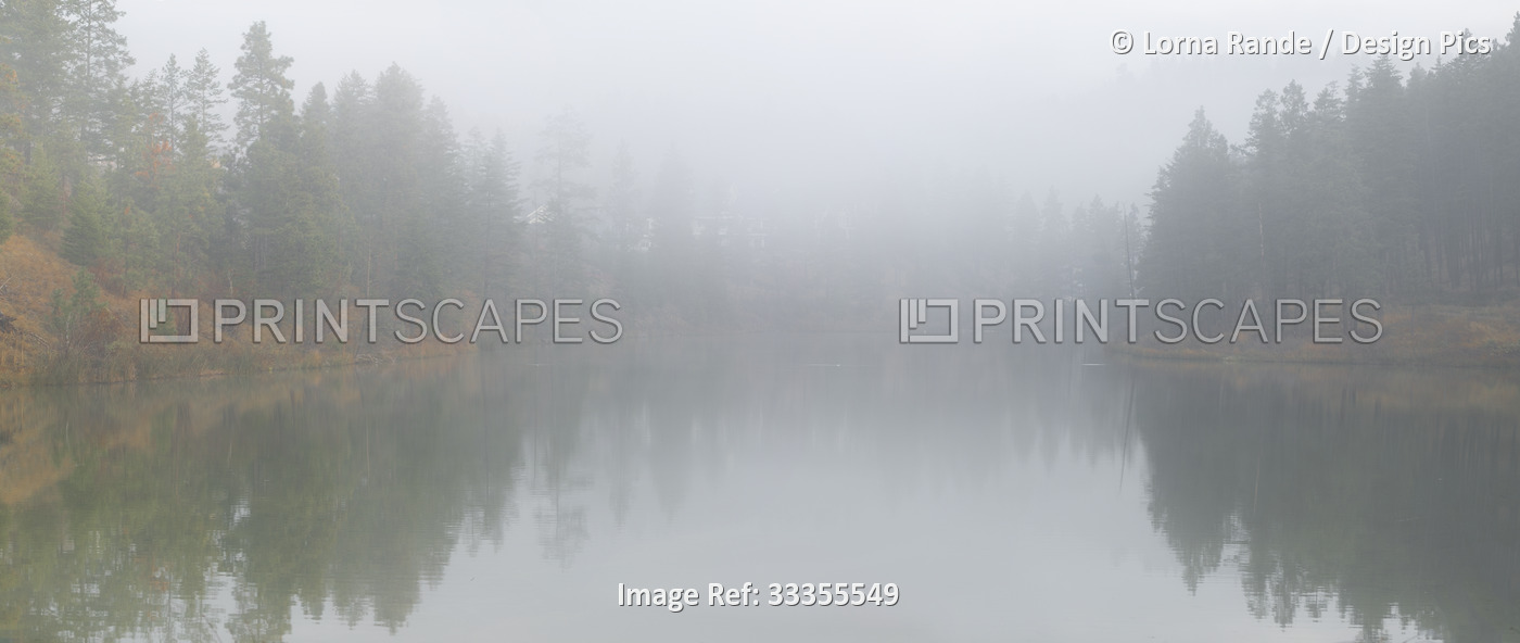 Heavy mist over a tranquil pond in Still Pond Park in Kelowna; Kelowna, British ...