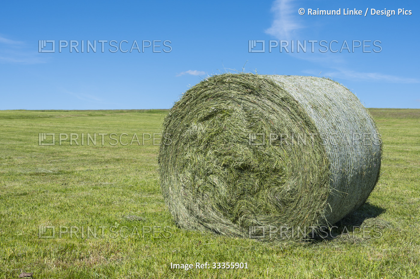 Close-up of a large hay roll on a green, cut meadow with a bright blue sky; ...