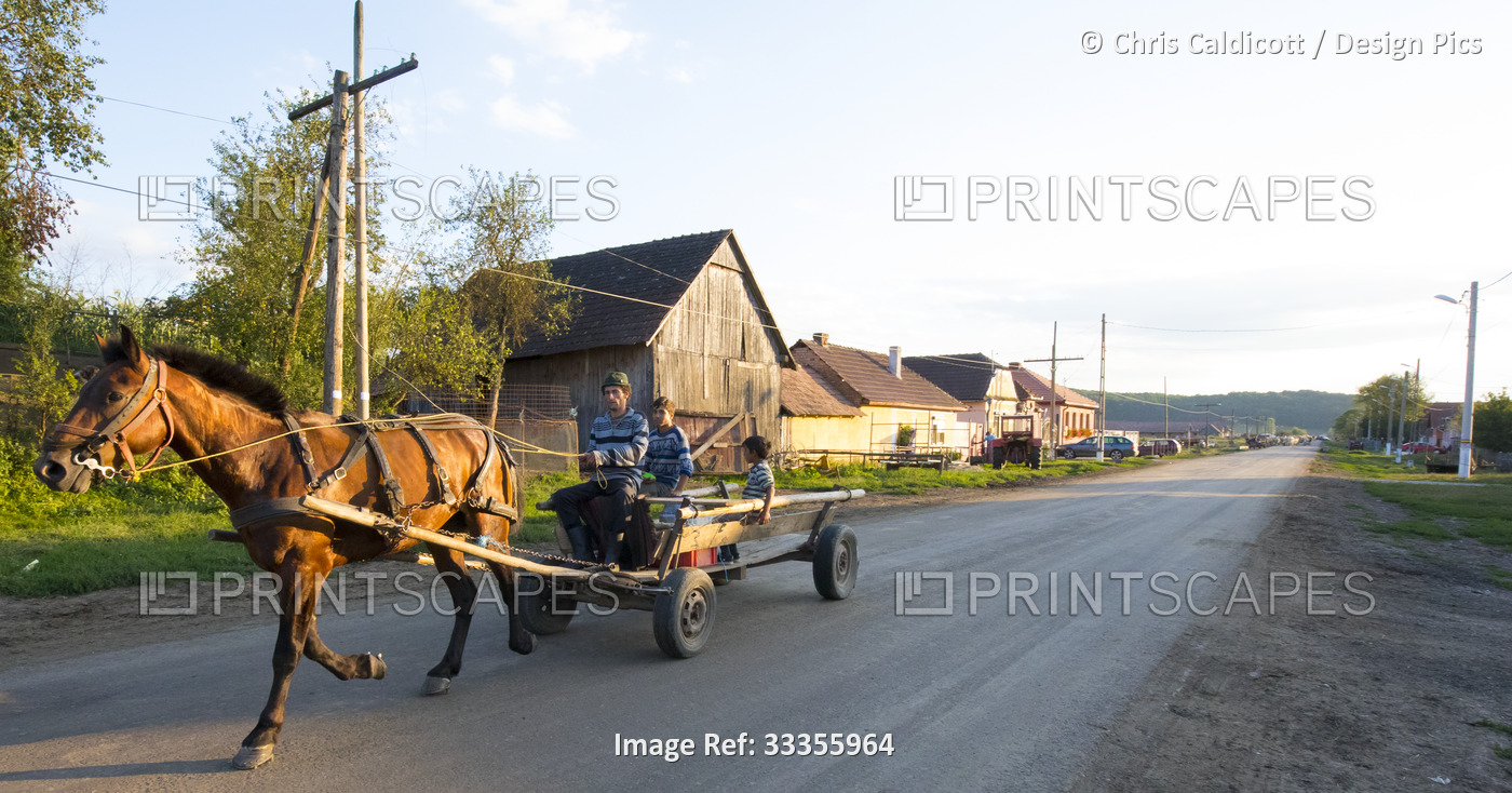Traditional horse and cart on Dacia village street, Brasov County, ...