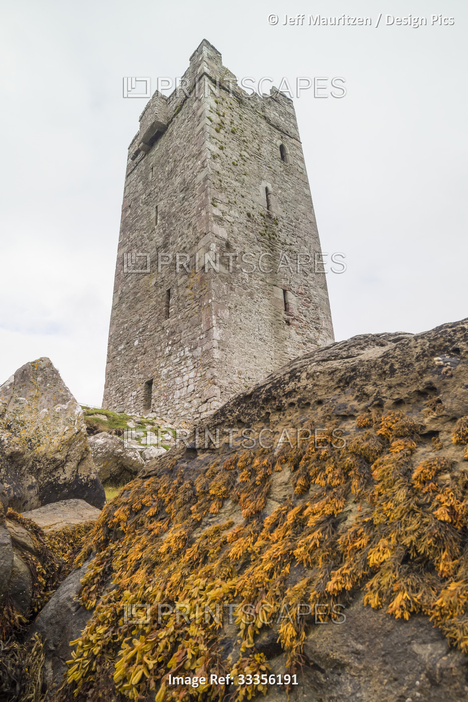 Kildavnet Castle, rectangular stone tower house with seaweed clinging on the ...